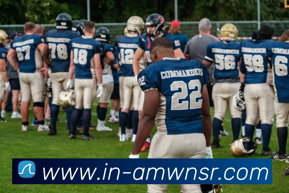 威尼斯人娱乐网站平台生态图